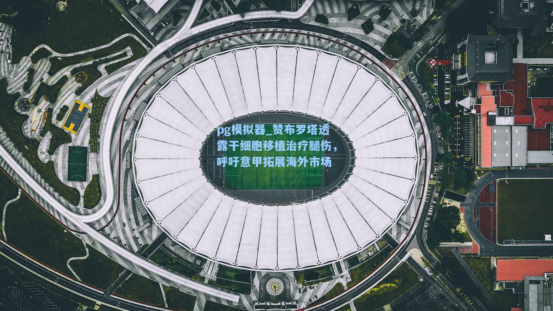 pg模拟器_赞布罗塔透露干细胞移植治疗腿伤，呼吁意甲拓展海外市场